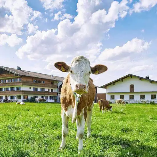 Urlaub auf dem Bio Bauernhof im Chiemgau