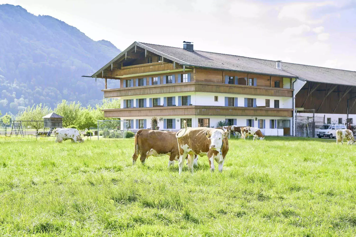 Echte Landwirtschaft erleben