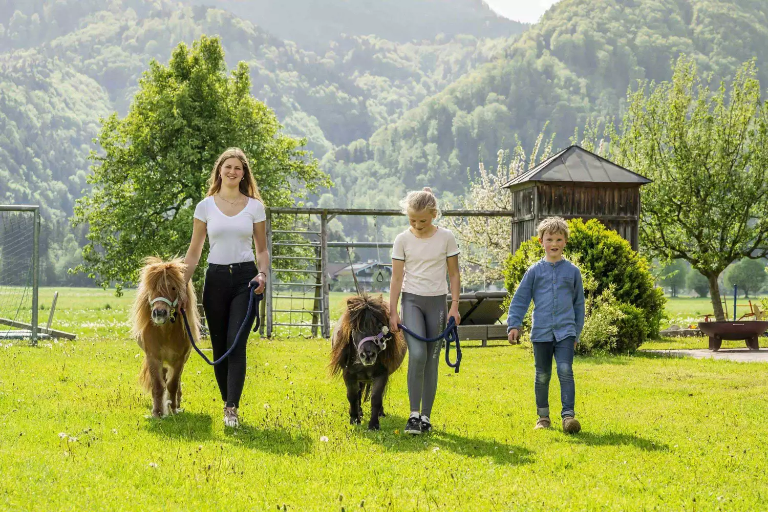 Spaziergang mit den Ponys am Zacherlhof