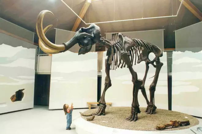 Steinzeit erleben Naturkundemuseum